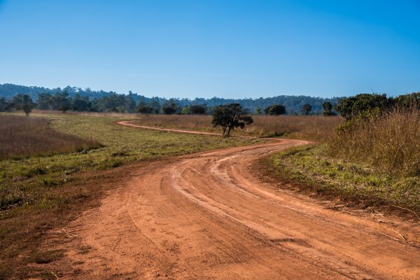 Dirt Driveway Repair in Willoughby