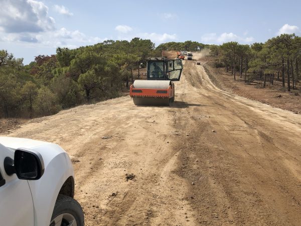 Cost of Driveway Grading in Willoughby