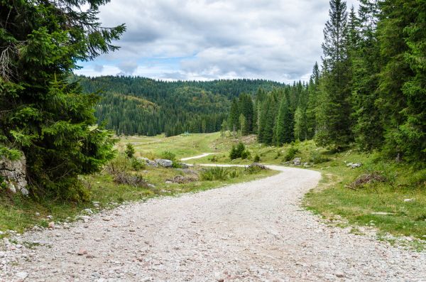 Cost of Gravel Road Grading in Willoughby
