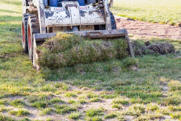Cost of Landscape Leveling in Willoughby