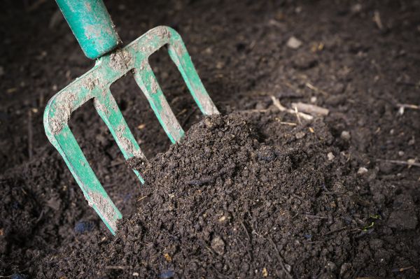 Cost of Topsoil Spreading in Willoughby