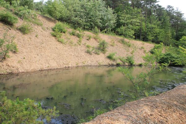 Cost of Pond Erosion Repair in Willoughby