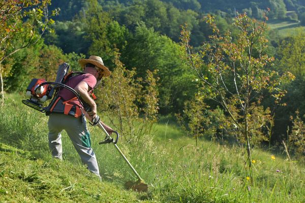 Cost of Slope Trimming in Willoughby